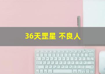 36天罡星 不良人